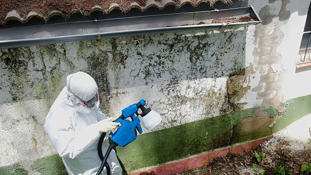 Top rated local Mold Remediation specialists in Oxford, PA